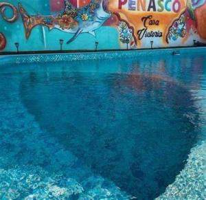 Billede fra billedgalleriet på Hotel Casa Victoria i Puerto Peñasco + 11 billeder