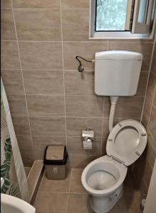 a small bathroom with a toilet and a window at Studio Elizabeta in Soko Banja +14 photos
