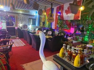 un club con un cisne blanco parado en un bar en peace garden hostel & camp en Luxor