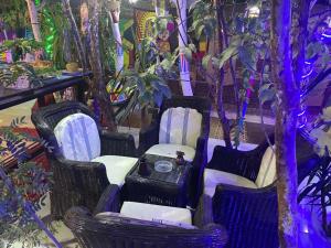 grupa krzeseł siedzących w pokoju z drzewami w obiekcie peace garden hostel & camp w mieście Luksor