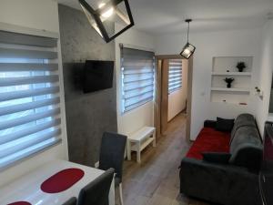Μια τηλεόραση ή/και κέντρο ψυχαγωγίας στο Apartman Savić Divčibare