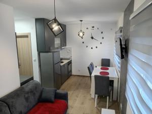 Η κουζίνα ή μικρή κουζίνα στο Apartman Savić Divčibare