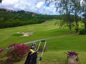 Golf v apartmánu nebo okolí