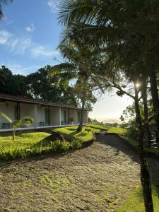 une maison avec un palmier à côté d'une route dans l'établissement Ilhabela Chalés, à Ilhabela
