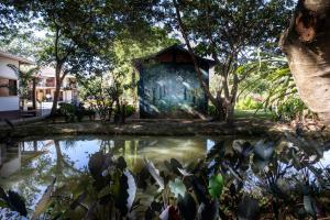 Um jardim em Pousada Rancho Soberbo, Serra do Cipó