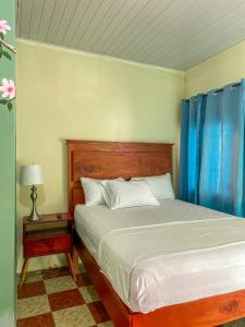 a bedroom with a bed with a blue curtain at Hostal Eden in Moyogalpa