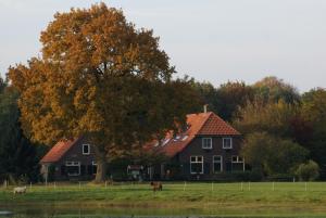 a house with a tree and two animals in front of it at B&B Verwoldsehof 'Op de deel' in Laren +19 photos