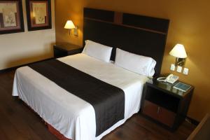 Krevet ili kreveti u jedinici u objektu Hotel Plaza las Quintas