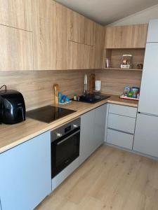 Kuchyň nebo kuchyňský kout v ubytování Apartmani Knezevic