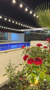 Piscina di استراحه الغلا o nelle vicinanze