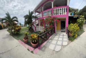 a pink house with potted plants in front of it at Posada Ashanty in Providencia