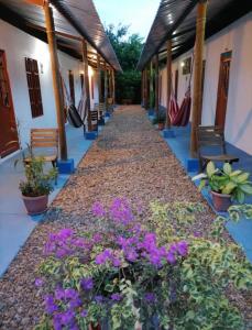 un pasillo de un edificio con flores púrpuras en Hotel campestre la Maria, en Villavicencio