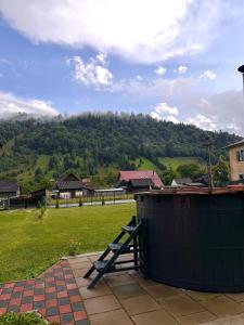 Billede fra billedgalleriet på Pensiunea Edy i Bistricioara