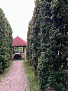 Billede fra billedgalleriet på Pensiunea Edy i Bistricioara + 6 billeder