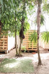 Zahrada ubytování Nahimara Champeta Hostel