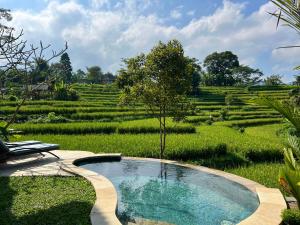 a swimming pool in front of a rice field at Abian Ayu Villa in Sidemen