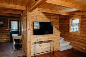 TV a/nebo společenská místnost v ubytování Beautiful Alaskan Log Cabin on Wooded Lot