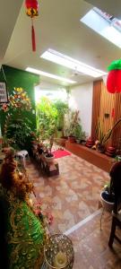 a room filled with lots of potted plants at JMCL RESIDENCES in Tacloban