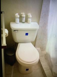 baño con aseo con 3 rollos de papel higiénico en Alexandra Guridy Room For Rent, en Los Tres Ojos de Agua