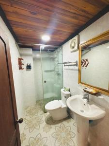 ein Bad mit einem WC, einem Waschbecken und einer Dusche in der Unterkunft Luang Prabang Oudomlith Villa & Travel in Luang Prabang