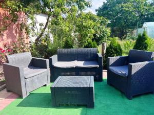a group of chairs and tables on a lawn at IMPERIUM DK VILLA in Remuş