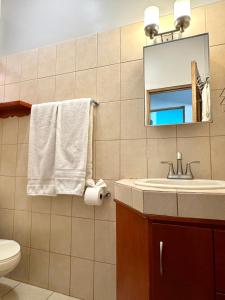 a bathroom with a sink and a mirror and a toilet at Happy Oasis Second Floor Condo With Terrace in Coco