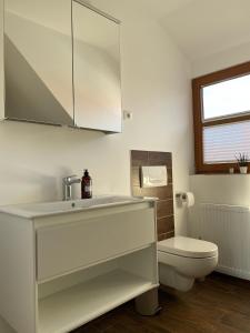 un baño con lavabo e inodoro en Harzzeit Home, en Blankenburg 11 fotos más