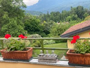 two pots of flowers on a balcony with a view at Casetta in giardino con piscina in Luino