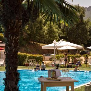 Bazén v ubytování Il Castagneto Hotel nebo v jeho okolí