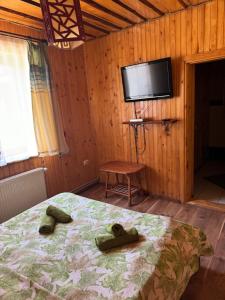 - une chambre avec un lit et une télévision à écran plat dans l'établissement Готель Bliznuky, à Vorokhta