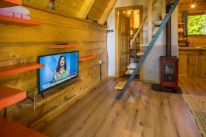 TV i/ili multimedijalni sistem u objektu Maple village