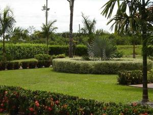 Un jardín fuera de La Casa Blanca