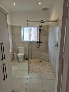 a bathroom with a shower and a toilet at La Felicita Boutique Self Catering Villas in Somerset West