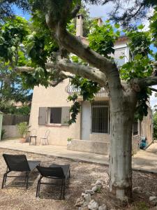 Budova, kde se bed and breakfast nachází + 8 fotografií