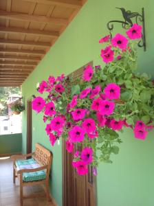A garden outside Casas Rurales Prieto