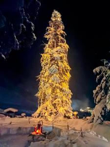 Fotografie z fotogalerie ubytování Burgerhof v destinaci Pettneu am Arlberg