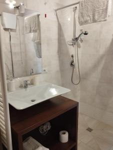 a bathroom with a sink and a shower at L'Arco Antico in Casalbuono