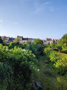 a garden with bushes and buildings in the background at Maison jardin calme in Lambersart