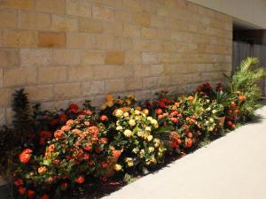 a bunch of flowers in front of a brick wall at Country View Motel Ilbilbie in Ilbilbie