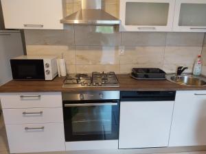 a kitchen with a stove and a microwave at Santa Lucia in Vetovo +5 photos