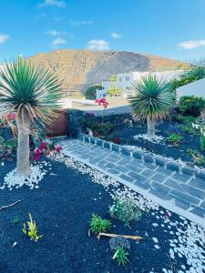 een tuin met twee palmbomen en een gebouw bij Casa Rural Yeyo en el cráter del volcán in Tinguatón