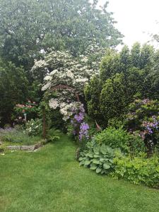 un jardín con flores y un arco en la hierba en Ferienwohnung am Hafen Bad Bevensen en Bad Bevensen