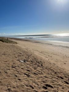 a beach with a bird laying on the sand at Villa les Tonnelles 1 à 800m de la plage et 500m de la forêt in Saint-Jean-de-Monts