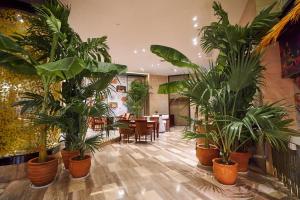 a room filled with lots of potted plants at Wyndham Grand Plaza Royale Chenzhou in Chenzhou