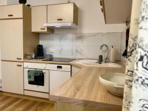 a small kitchen with a sink and a counter top at Villa Pauline - FeWo “Provence“ in Bad Sooden-Allendorf +16 photos