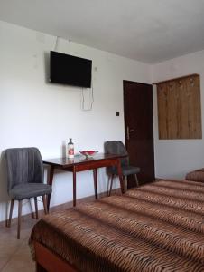 a bedroom with a bed and a desk and a television at Vila Teodora in Star Dojran