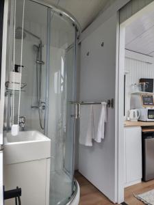 W łazience znajduje się szklana kabina prysznicowa i umywalka. w obiekcie Taratahi Escape w mieście Clareville