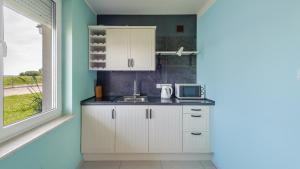 Η κουζίνα ή μικρή κουζίνα στο Niska, Sun & Snow