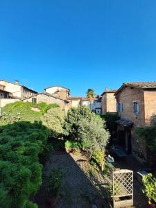 an overhead view of a garden in a city at il "Terrazzino" nel cuore di Siena in Siena