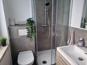 a bathroom with a shower and a toilet and a sink at Cozy Studio-Apartment in Hattersheim in Hattersheim